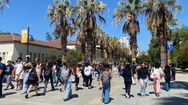 Computer Science Graduates Return to School Amid AI Disruption